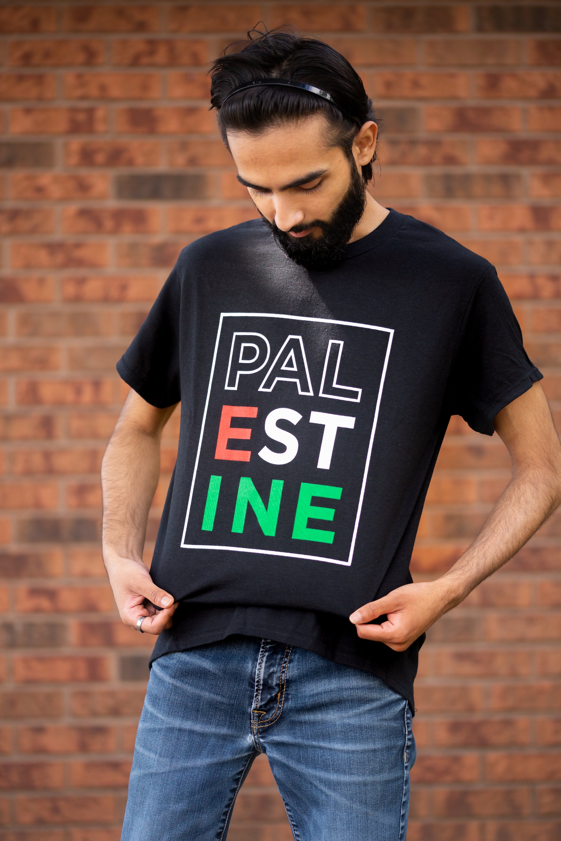 Mens Deep V Neck T Shirts Slim Fit Basic Tee Shirt Palestine